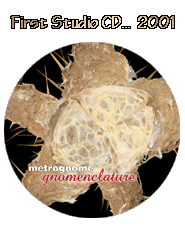 All Gnomenclature Graphics Design By O'Rielly - phormproductions.com