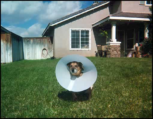 So what's the frequency, Kenneth?